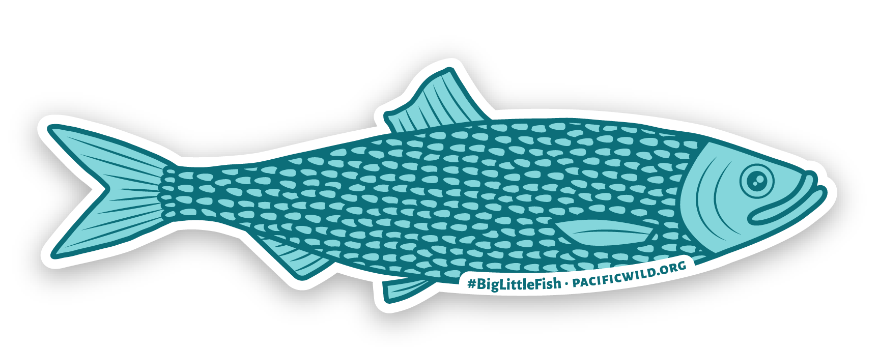 Pacific Wild #BigLittleFish Herring Sticker